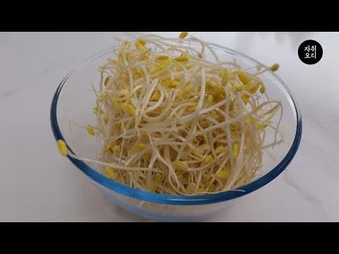 콩나물 볶음