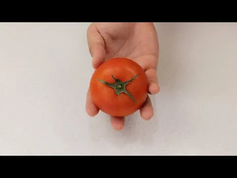 토마토 계란 볶음