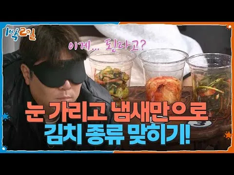 김치 3종 블라인드 테스트