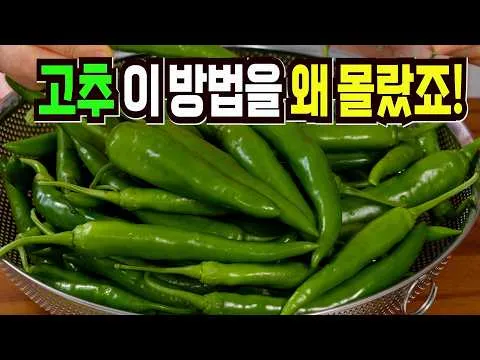 고추장아찌