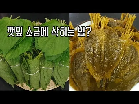 깻잎 삭히는 법