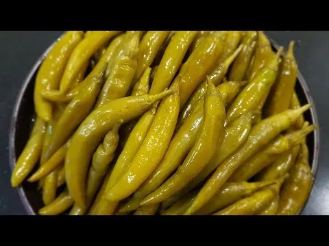 삭힌 고추지