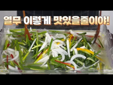 열무 물김치