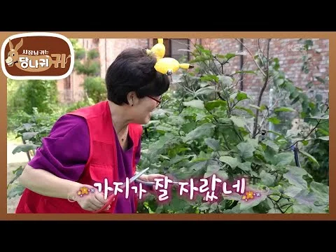 그릴 가지구이