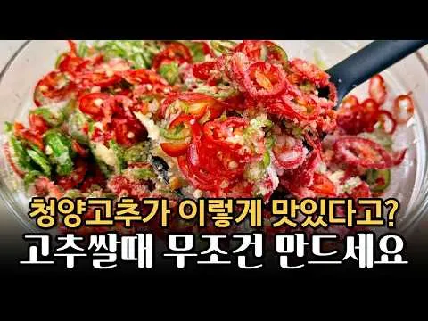 청양고추 고추청 만능고추간장 만들기