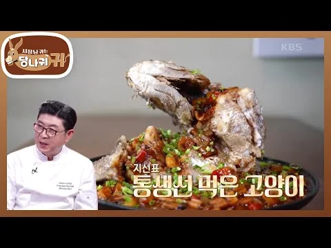 통생선 먹은 고양이