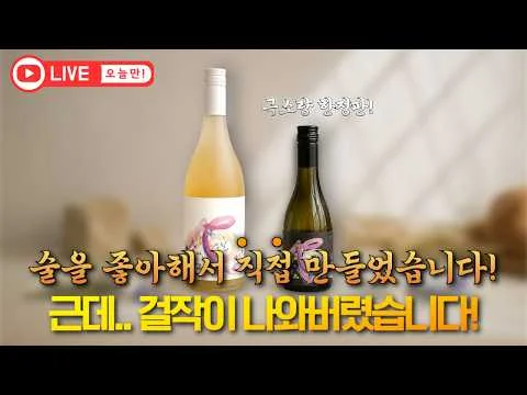효 NO.15