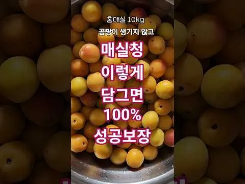 실패 없는 매실청