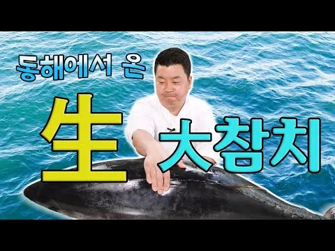 생참치 해체