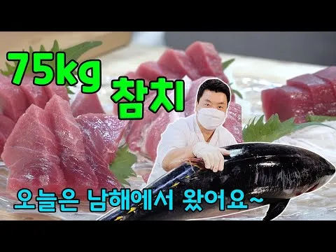생참치 회
