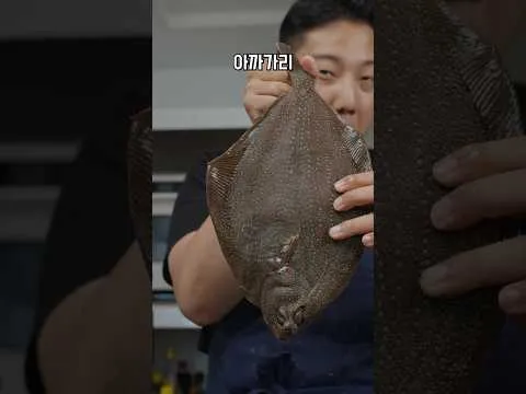 홍가자미 회