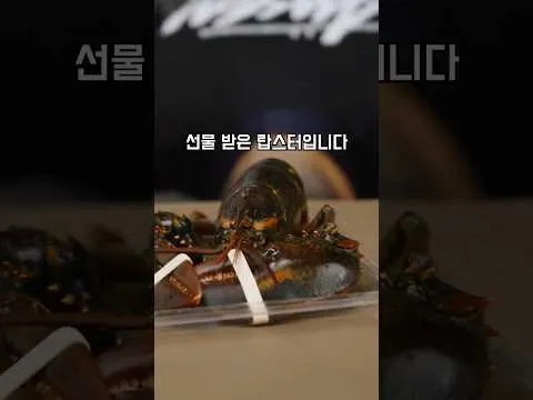 랍스터 라면