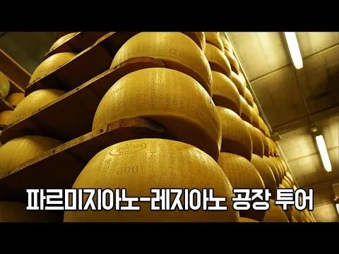 파르미지아노 레지아노 치즈 제조 과정