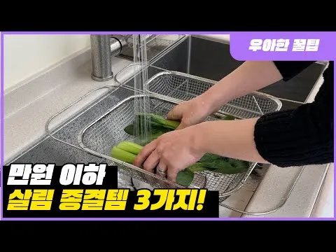 버섯 리조또