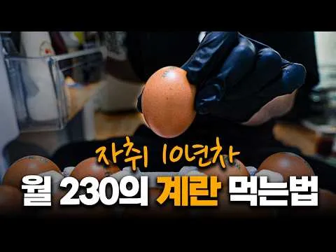 계란 볶음밥