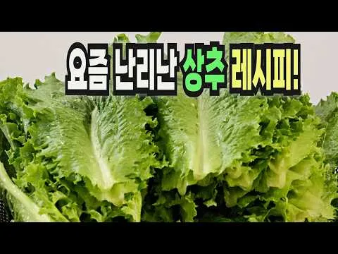 상추 생절임