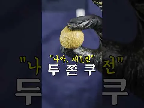 피스타치오 카다이프 초콜릿