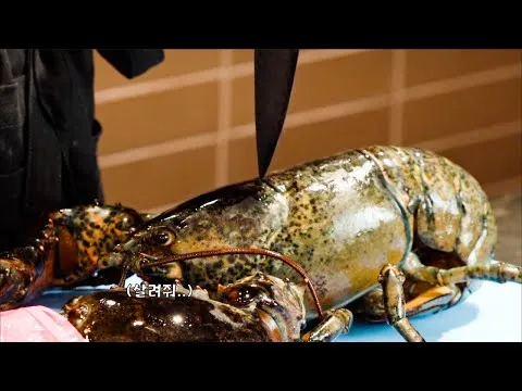 랍스터 비스크 소스 샐러드