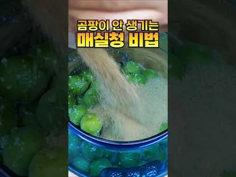 매실청 담그는 법