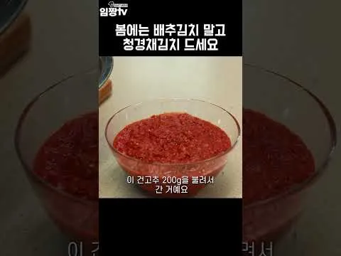 청경채 김치