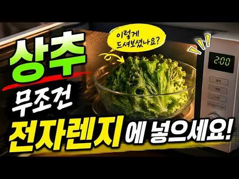 무침 상추 두부 무침