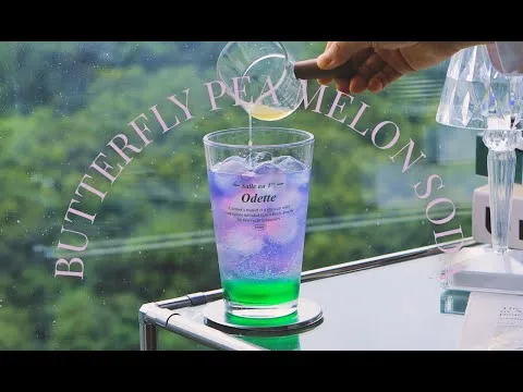 버터플라이피 멜론 소다