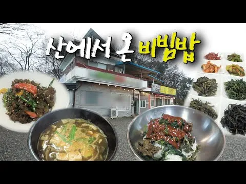 산야초 비빔밥
