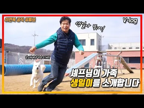 강아지 훈련 간식