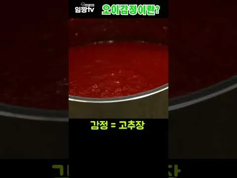오이 고추장찌개