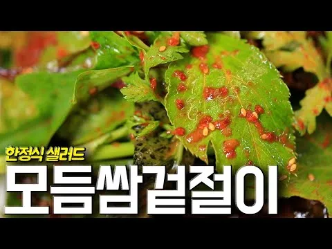 모듬쌈 겉절이