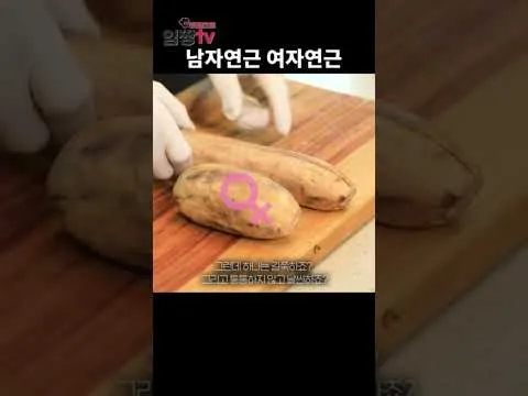 연근 오이 샐러드