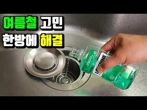 초파리 퇴치제