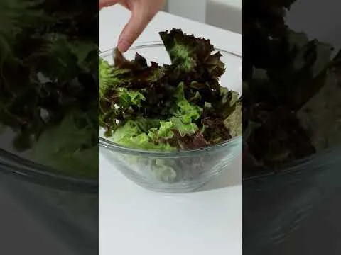 야채탈수기 활용법