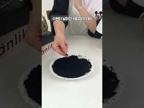 냉장고 탈취제