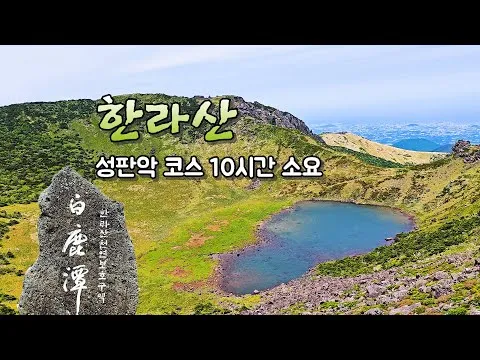 그릴 갈치조림과 통갈치구이