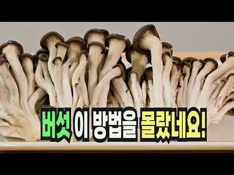 느타리버섯볶음