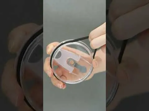 아이스 아메리카노