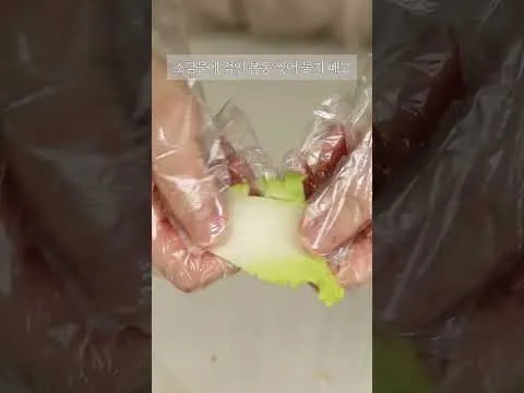 봄동 겉절이