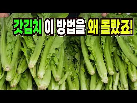 돌산갓김치
