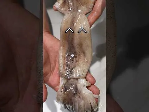 오징어라면