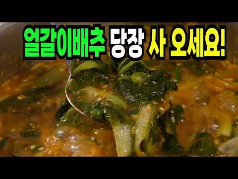 얼갈이 배추된장국