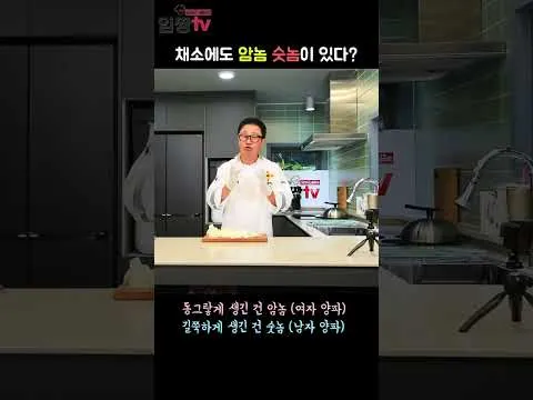 양파볶음