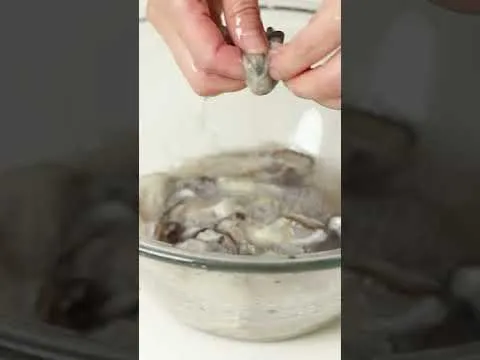 순두부 무 굴국