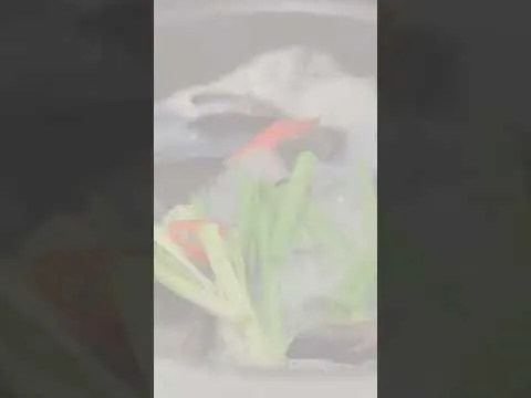 홍합탕