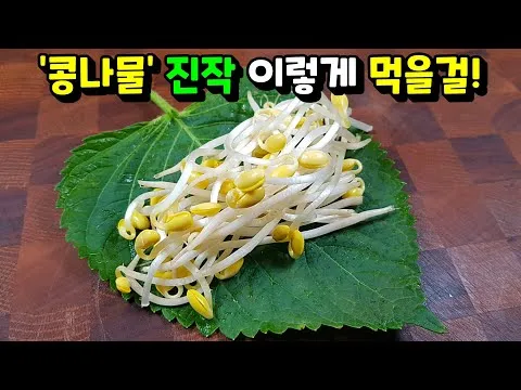 무침 콩나물무침