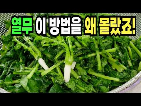 열무물김치
