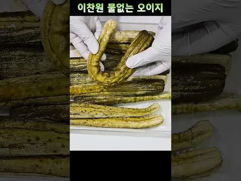 물없이 오이지 담그기