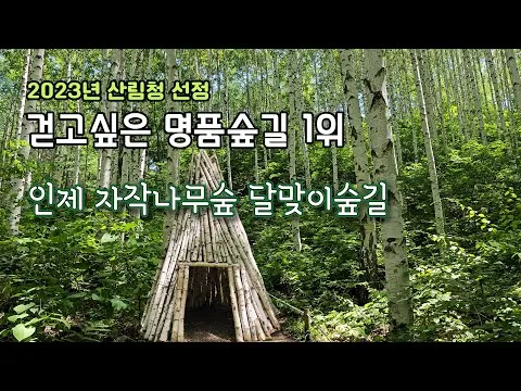 순두부와 막국수