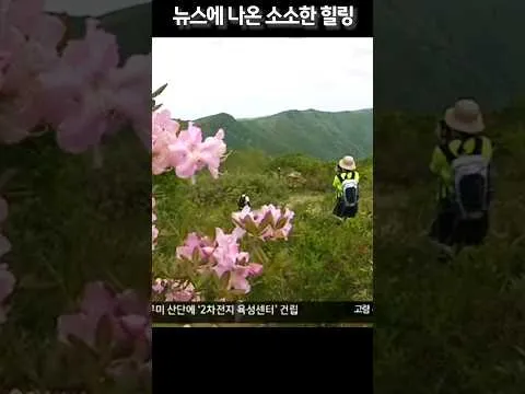 소백산 등산 컵라면