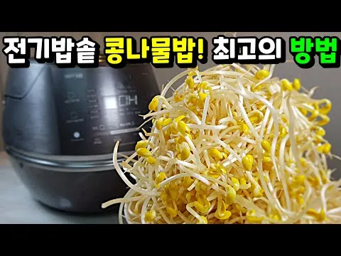 콩나물밥